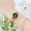 Citizen’s official new authentic internet celebrity ladies’ watch