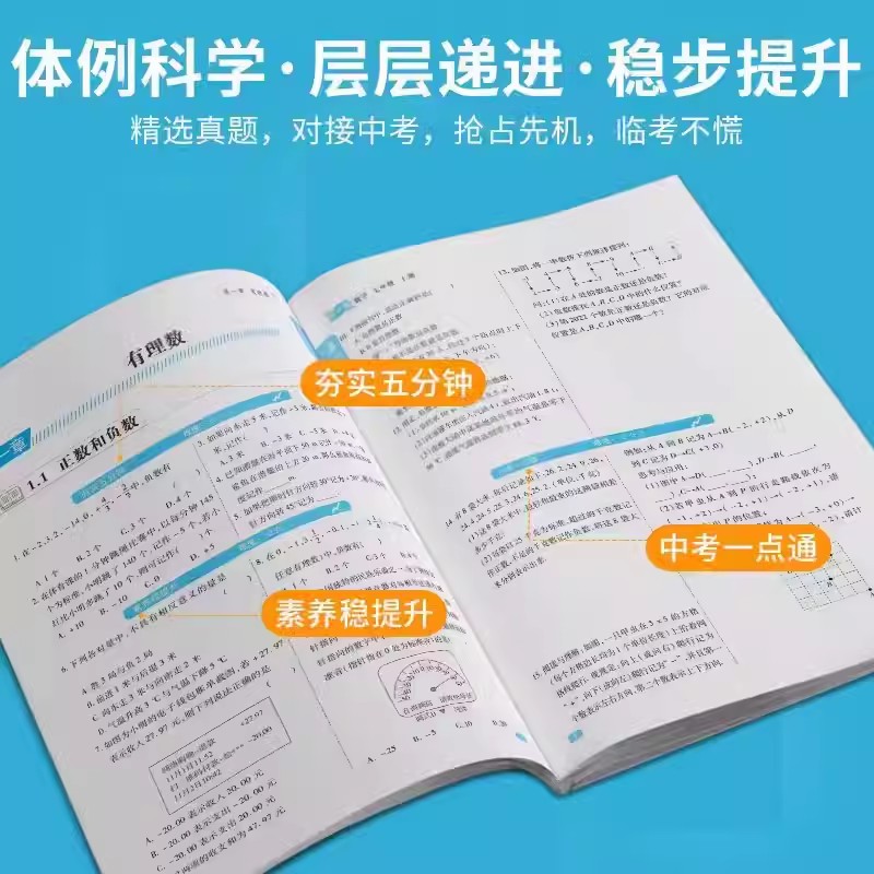 七年级上册下册同步练习册全套人教版语文数学英语政治历史地理生物课课练初中同步专项训练试卷配套教材课本练习题初一必刷题教辅 - 图3