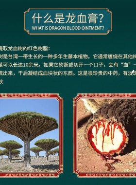 龙血膏提亮素颜霜滋润遮瑕保湿