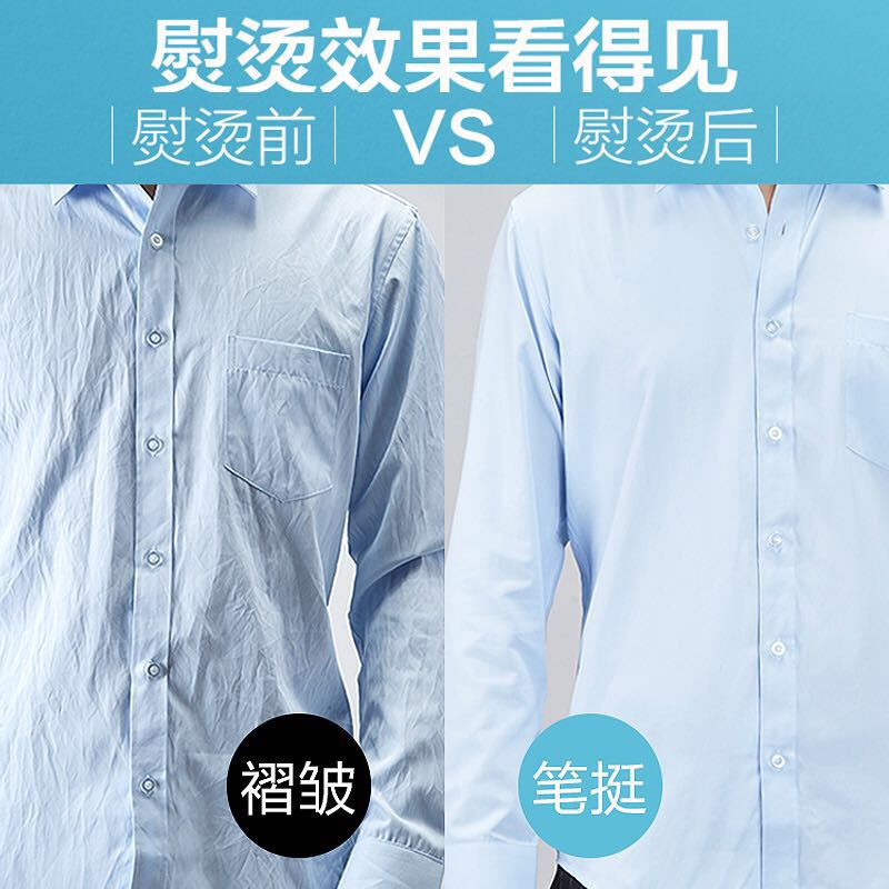 飞科鼎发专卖店飞科电熨斗家用蒸汽熨烫斗手持式大功率迷你学生宿舍电烫斗烫衣服1