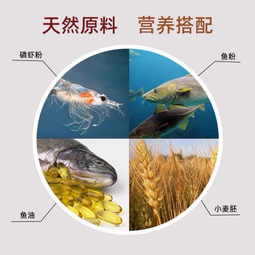 鱼博士锦鲤金鱼草鱼通用鱼饲料增色鱼食增体鱼粮成长颗粒粮不浑水 - 图1