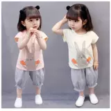 2022  疂 疂 疂 疂 濆  瑁呭 瑁呭 瑁呭               ?