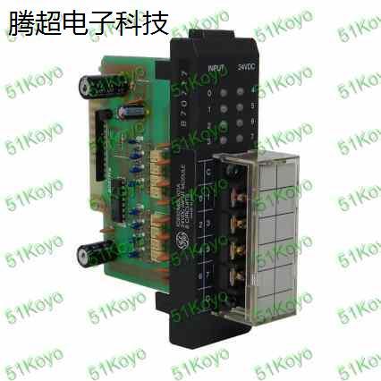 E-01N 光洋 KOYO PLC Input IC610MDL101 TI305-01N  D3-08ND议价 - 图2