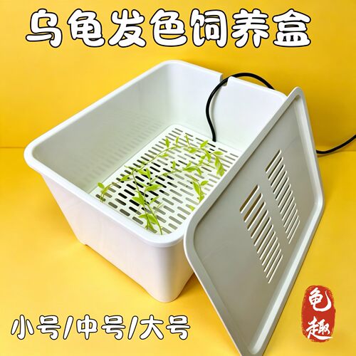 乌龟饲养盒乌龟发色盒龟苗孵化龟缸蛋龟饲养盒育苗盒可加温 - 图0