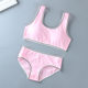 Developmental young girl underwear pure cotton suit