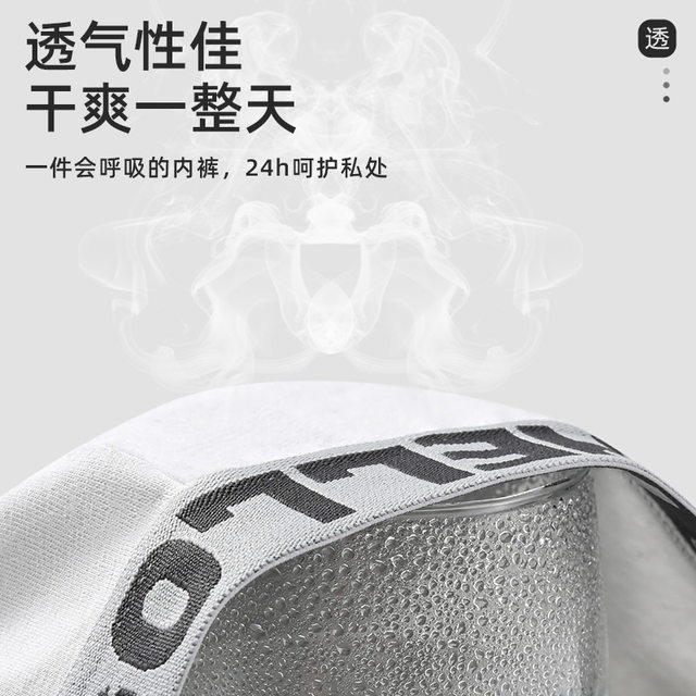 Brand underwear for men men pure cotton boxer shorts