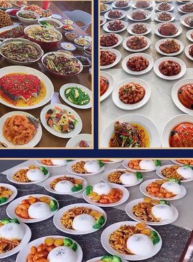 仿真模型菜品食材道具展示摄影