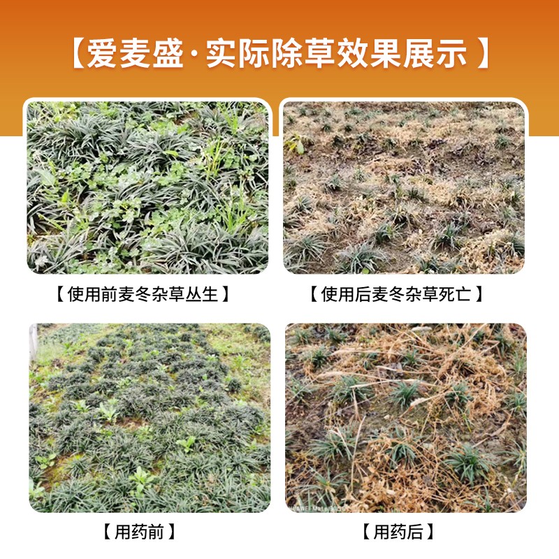 坪安爱麦盛 玉龙净矮麦冬草坪除草剂玉龙草鸢尾草坪中禾阔莎全除 - 图0