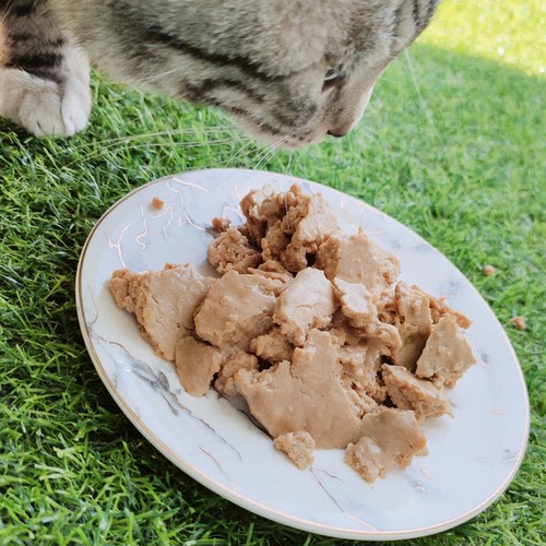猫食堂 牛肉兔肉10种肉纯肉自制主食熟猫饭 营养湿粮成幼猫包月餐 - 图2