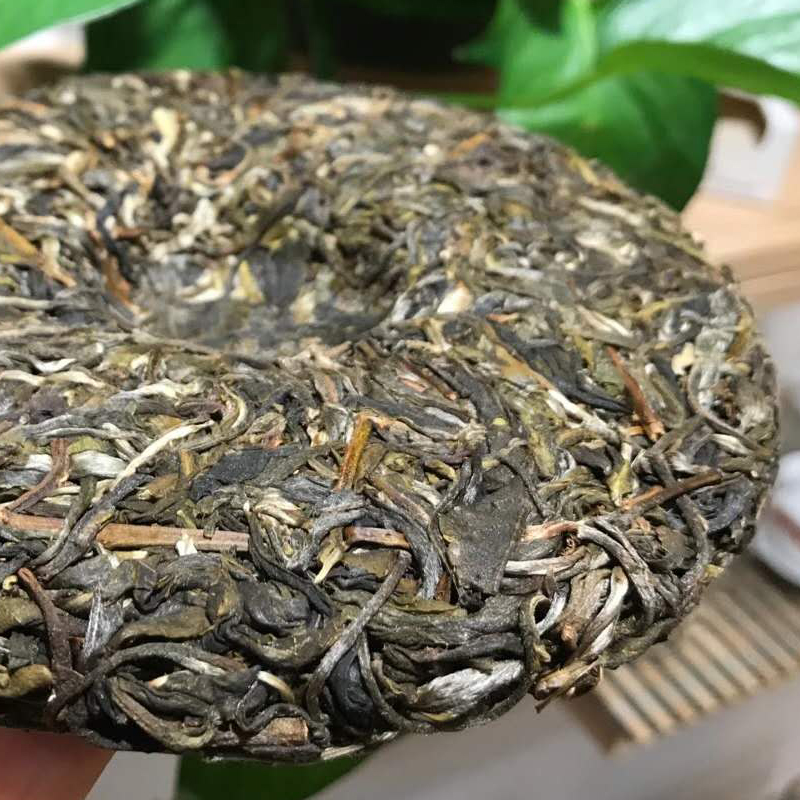 易武普洱茶生茶叶三合社古树春料七彩云南七子饼黄金叶5片整盒购