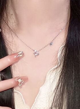 s925纯银流星轨迹项链女百搭仙女高级感新品锁骨链小红书热销配饰