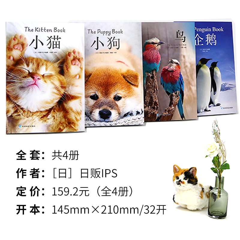 新华正版治愈系科普图鉴：小猫，小狗，企鹅，鸟（套装全4册）高清鉴赏图片养猫指南宠物书籍 狗狗训练教程关于狗狗的书