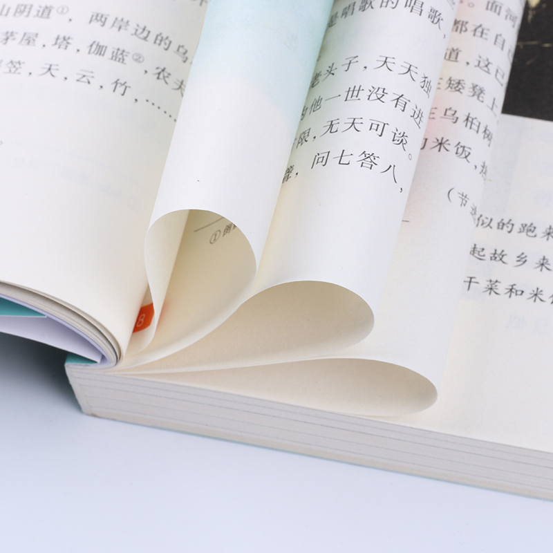 新华正版小学生鲁迅读本/名家文学读本 三四五六年级课外阅读书籍儿童读物小学教辅阅读经典书目丰子恺老舍叶圣陶巴金新华书店正版