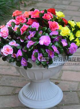 仿真杜鹃花映山红绢花运动会学生