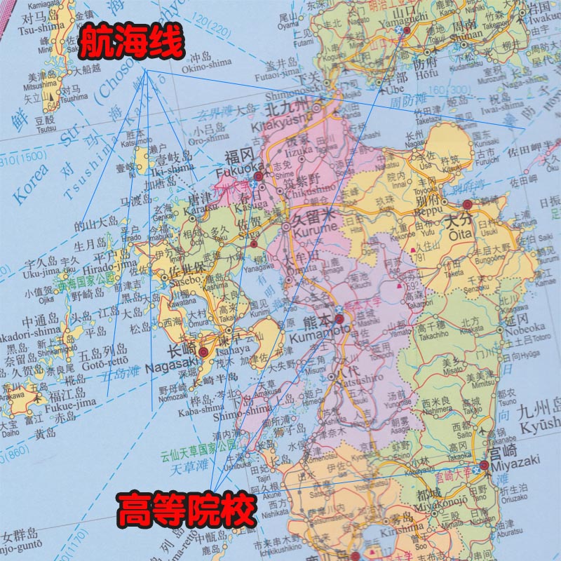 【极速发货】 日本地图 新版 日本地图挂图墙贴图 折叠交通旅游地图 1.17米x0.86米 港口机场交通大学标注世界热点地图 - 图3