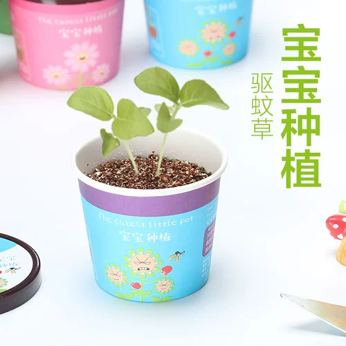 Творческий микроалландский мини -тис