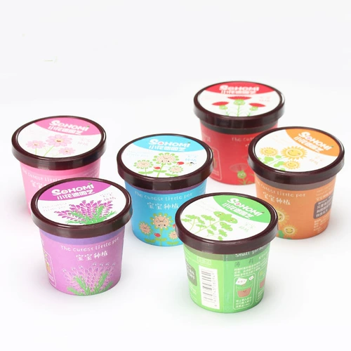 Творческий микроалландский мини -тис