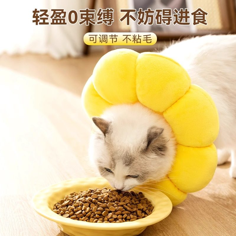 伊丽莎白圈猫咪绝育项圈狗狗防舔圈神器神器头套防抓脖套宠物用品,淘宝优惠券,粉丝福利购,淘宝优惠卷