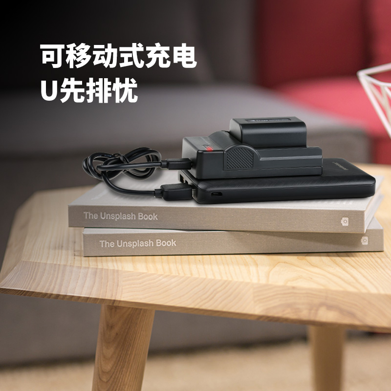 沣标NP-FV50充电器sony FH50 FH70 FH100 FV70 FV100摄像机AX700 AX60 AX45 适用DV索尼FV90电池充电器 - 图0