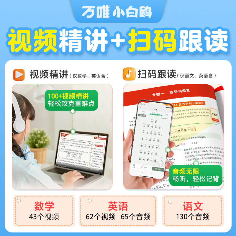 万唯小白鸥原创小学基础知识与初中衔接大全手册语文数学英语小升初总复习资料一二三四五六年级人教版万维小白欧小白鸽阅读训练题