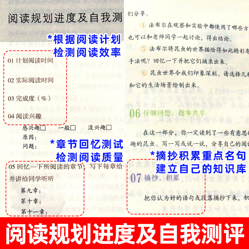 红星照耀中国和昆虫记原著正版法布尔八年级上册必读课外书名著人民教育出版社初二8语文阅读书籍人教完整版初中西行漫记红心闪耀 - 图2