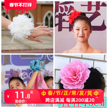 Flying Phantom Dance Bride Wedding Head Floral Chest Floral Wrist Flower Show Lady Feather Hair Accessories 15cm Dove