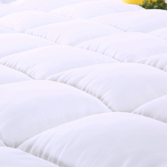 Thick feather velvet foldable student double bed mattress