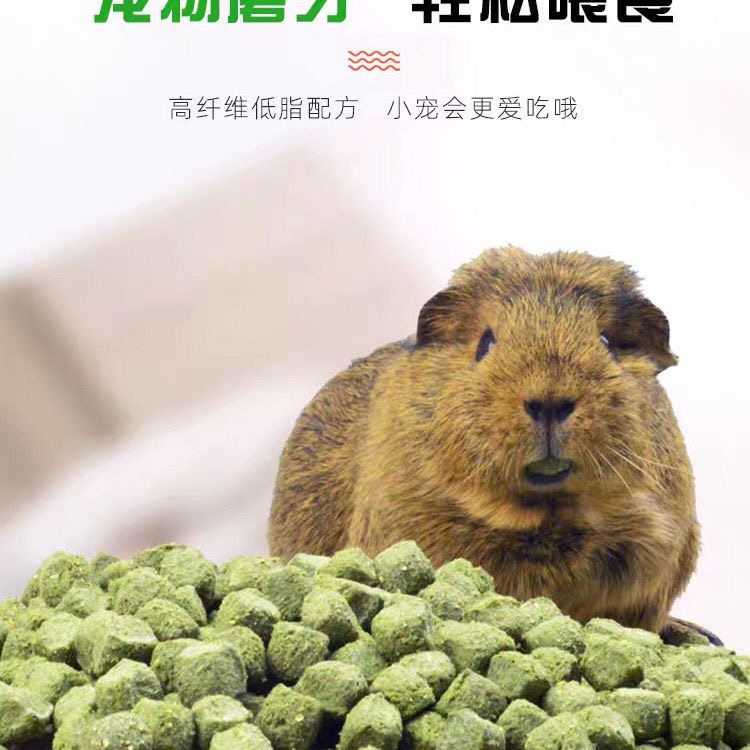 CarCool迷你苜蓿草砖零食磨牙小草砖美毛兔子龙猫豚鼠零食,淘宝优惠券,粉丝福利购,淘宝优惠卷
