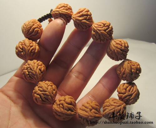 老树疙瘩龙精品 秦岭野生龙纹桃核 刺龙正圆金鱼肚霸王龙男士手串 - 图1
