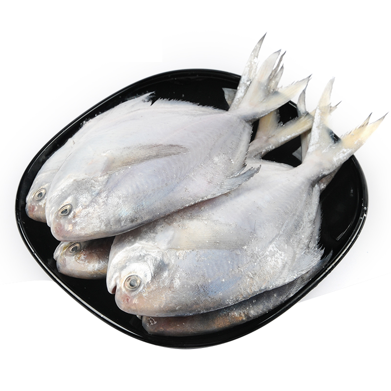 3斤鲳鱼新鲜冷冻鲳鳊鱼银鲳鱼白鲳鱼平鱼鲜活海鲜水产非金鲳鱼 - 图0