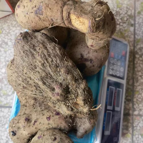 新鲜紫大薯紫山药紫人参紫淮山脚板薯血薯红大薯半紫薯农家土特产 - 图1