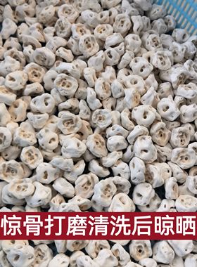 天然猪惊骨婴儿童宝宝红绳手链朱砂手链手串防惊吓新生儿脚链桃木