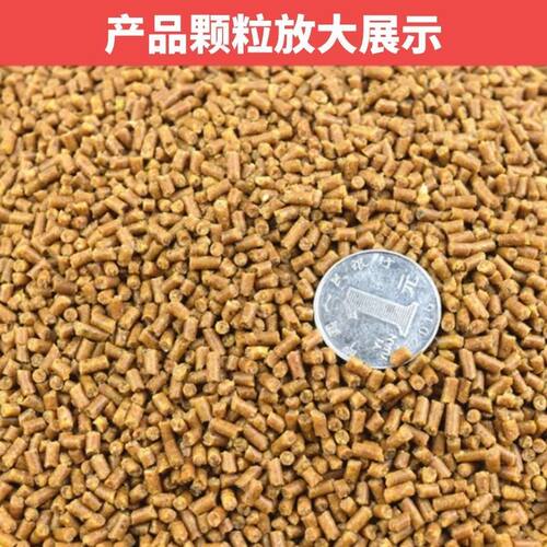 香港威图百强鹩哥鸟食换羽提性八哥专用鸟粮 营养颗粒鸟食 500克 - 图2