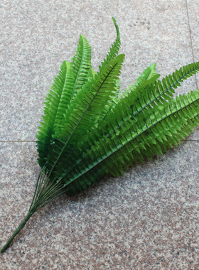 仿真婚庆蕨类植物波斯叶子