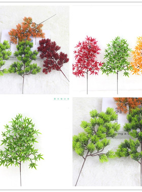 崖柏树枝绿植盆栽塑料道具美人松