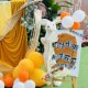 Yellow autumn and winter kindergarten opening environment gauze performance area background fabric national style orange orange mesh material