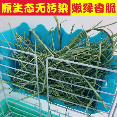 2020 Fresh Timothy Grass Grass Rabbit Rabbit Dorch Pig Fedee Fedee Feed Totoro Totoro Grass Food 1 catties