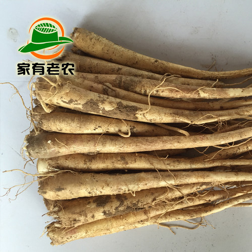 包邮新产鲜桔梗1500克/二年生鲜桔梗/狗宝咸菜/赤峰新产/3斤 - 图1