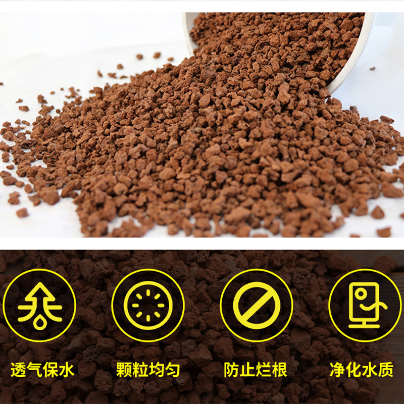 火山岩多肉专用伴土铺面兰花颗粒营养土鱼缸垫底包邮500g - 图0