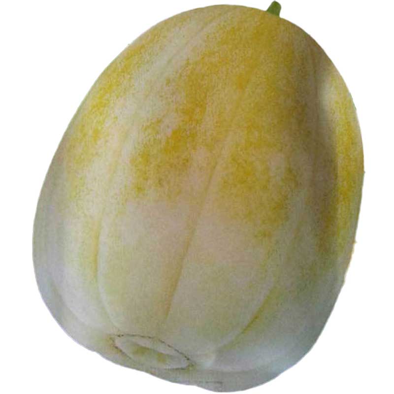懒汉瓜王种子白色甜瓜种籽四季播农家高产甜早熟薄皮香瓜水果种孑