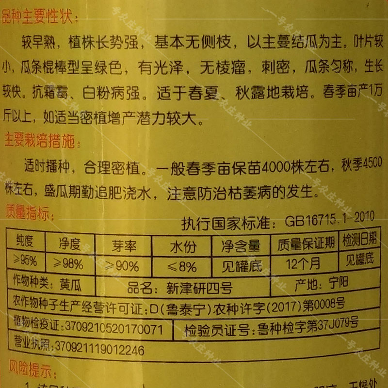 津研四号长黄瓜种籽子孑早熟绿瓤有光泽密刺春夏秋季抗霜霉白粉病-图1