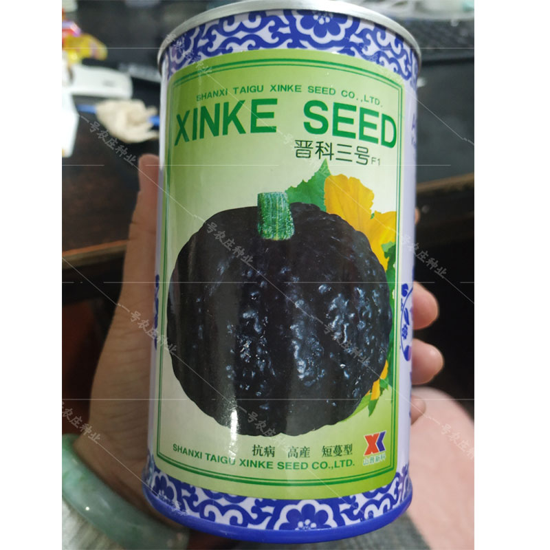 甜糯黑皮南瓜种子小疙瘩型干面粉甜四季老甜蜜蜜南瓜种籽蔬菜种孑