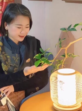 台灯木艺书法手工防火书房床头灯