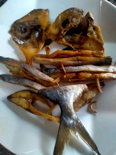 淡晒金鲳鱼鱼干海鲜干货阳江特产水产金昌鱼深海金仓鱼顺丰包邮 - 图2