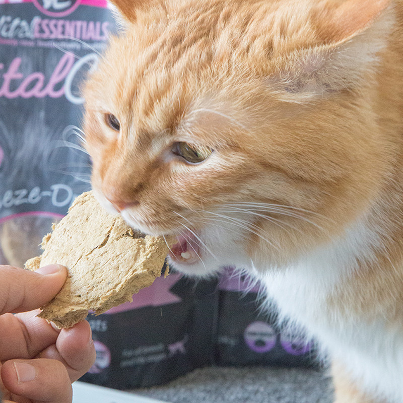 逗哒乐 VE冻干肉饼猫咪主食冻干生骨肉火鸡鸭肉兔肉猫咪主食猫粮,淘宝优惠券,粉丝福利购,淘宝优惠卷