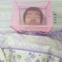 Good Hood Head Mosquito Nets Mini Mosquito Nets Small Mosquito Nets Pillow Cover Headboard Covers Head Home Mosquito Prevention