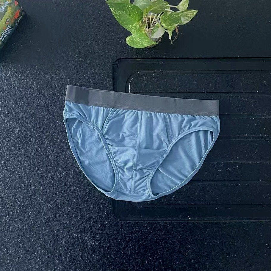 50S精品莫代尔棉男士三角内裤夏季面料舒适大码白色高雅男人,淘宝优惠券,粉丝福利购,淘宝优惠卷