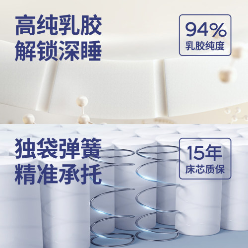 梦神椰棕床垫席梦思20cm独立弹簧床垫椰棕十大名牌床垫家用 圆梦 - 图1