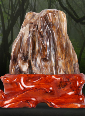 缅甸树化玉原石摆件客厅观赏石头