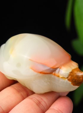 天然和田玉籽料长寿龟手把件